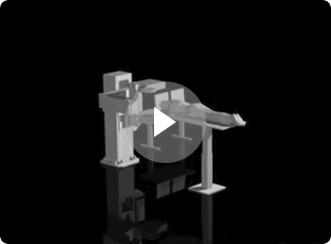 Computer animation of PETsys